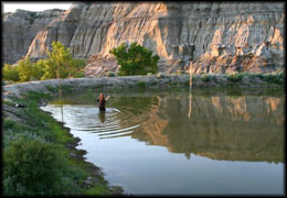 triple high nets at dam